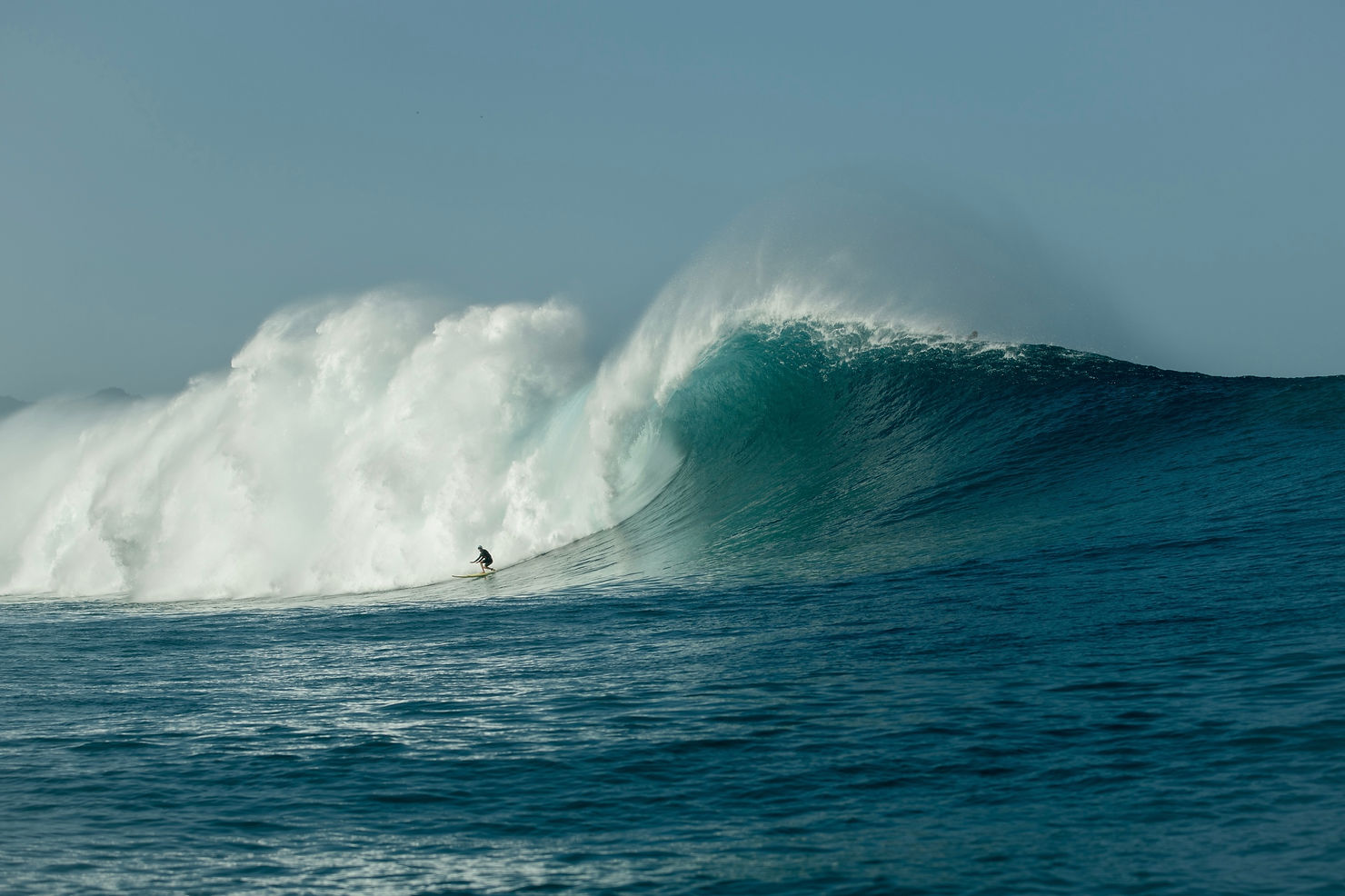 Image credit: Daniel Russo